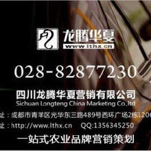 品牌策劃與網(wǎng)絡營銷 從策略到執(zhí)行的全方位解析